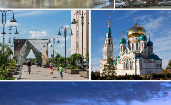Китайский чай в Омске: доставка в течение 4–6 дней