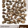 golovy-100-1