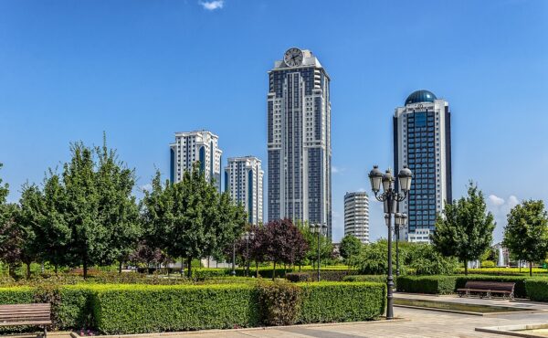 Китайский чай в Грозном