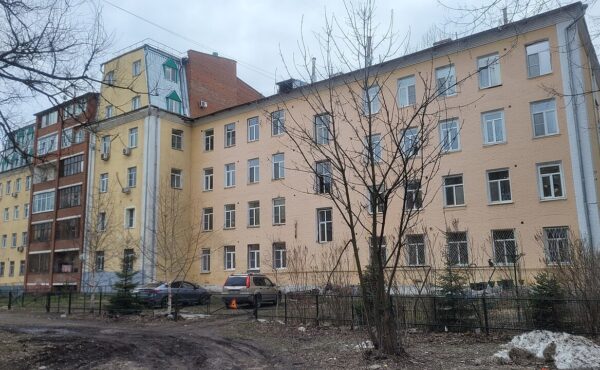 Китайский чай в Балашихе: доставка в течение 1–3 дней