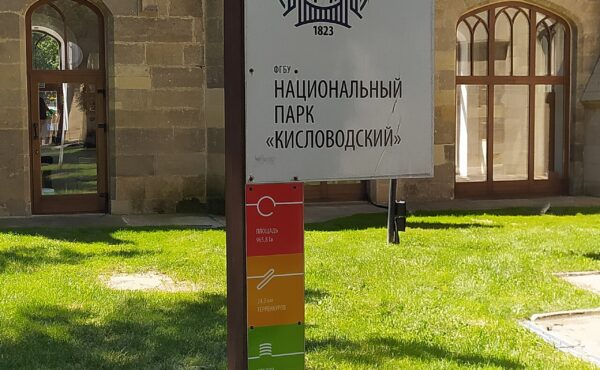 Китайский чай в Кисловодске: доставка в течение 4–6 дней