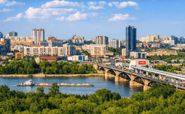 Китайский чай в Новосибирске: доставка в течение 4–8 дней